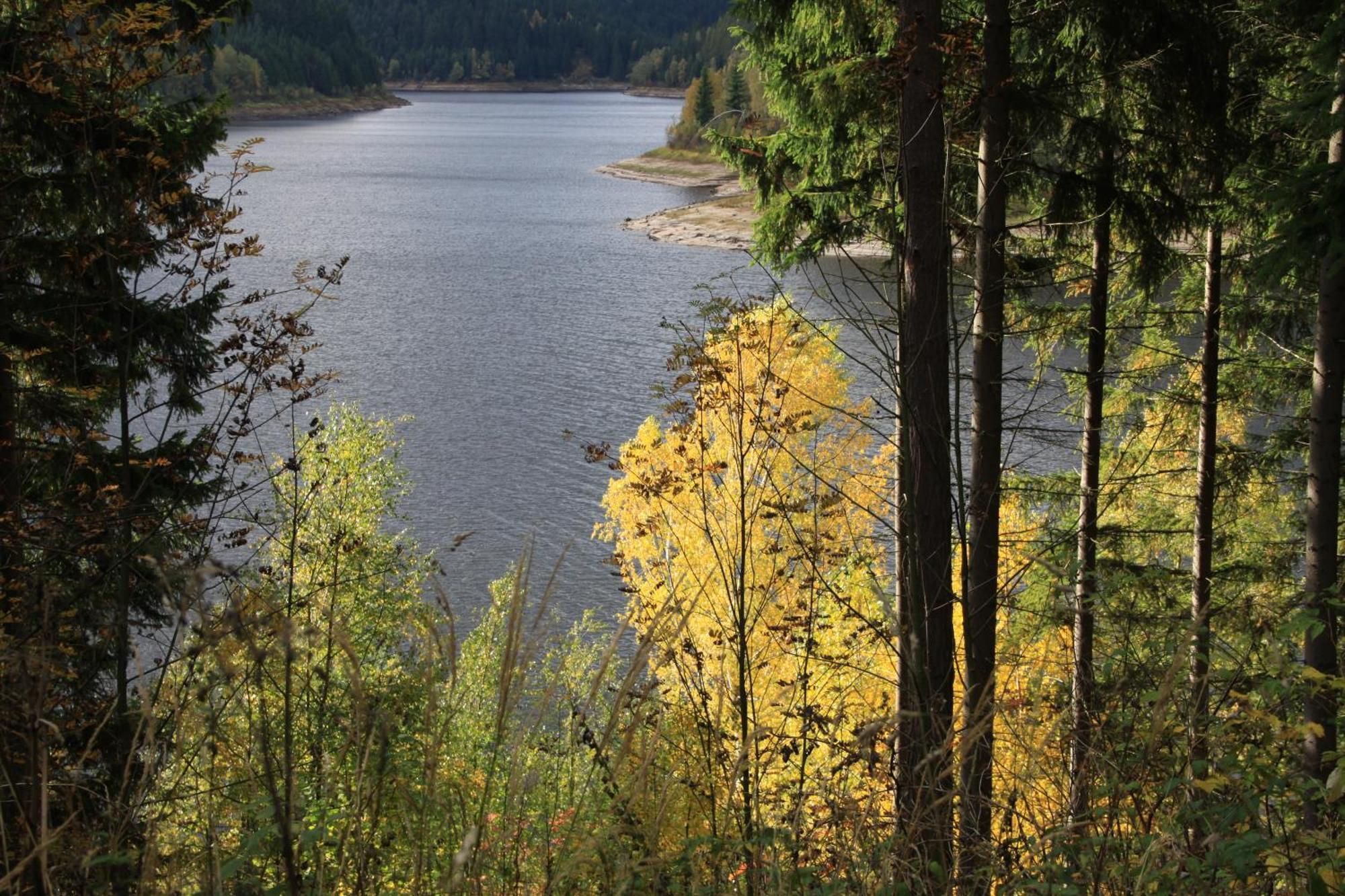 Das Jagdhaus Waldidyll Erzgebirge Hartenstein  Bagian luar foto